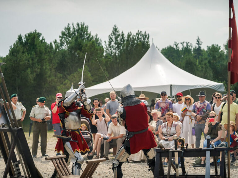 Žalgirio pergalės mūšio paminėjimas nuotrauka 22